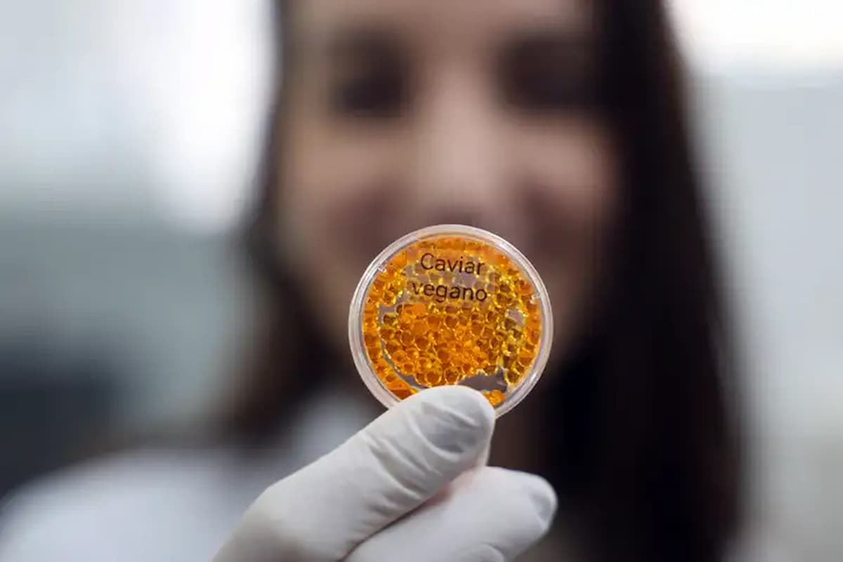 Embrapa produz salmão, caviar e lula veganos com impressoras 3D
