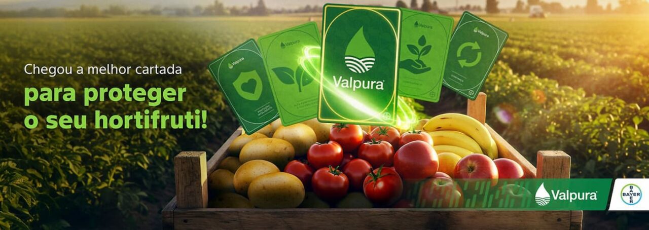 Bayer foca em controle de doenças e novas sementes na 31ª Hortitec