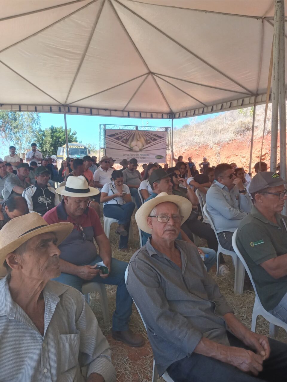 Algodão no Semiárido inovação faz a cultura renascer no Norte de Minas (3)