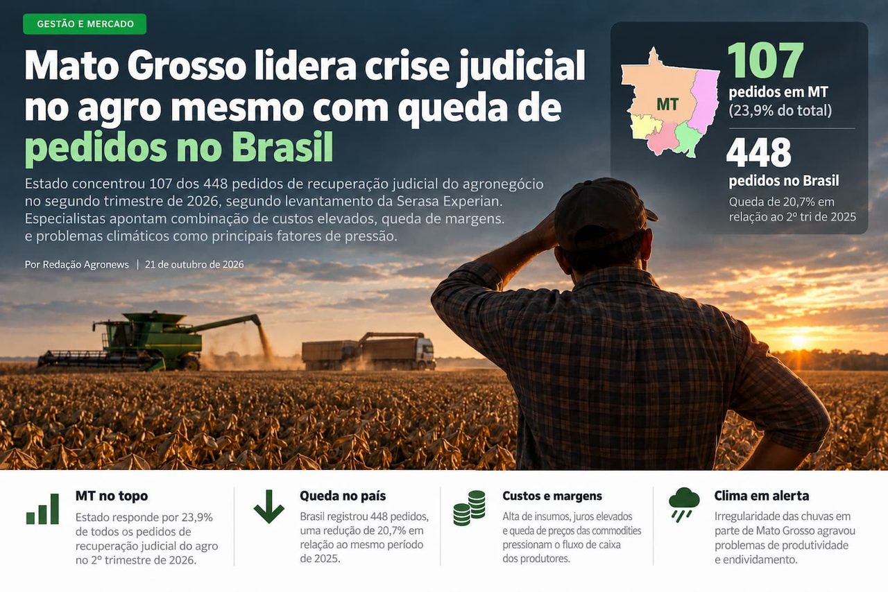 Mato Grosso lidera recuperação judicial no agro e concentra 1 em cada 4 pedidos do Brasil
