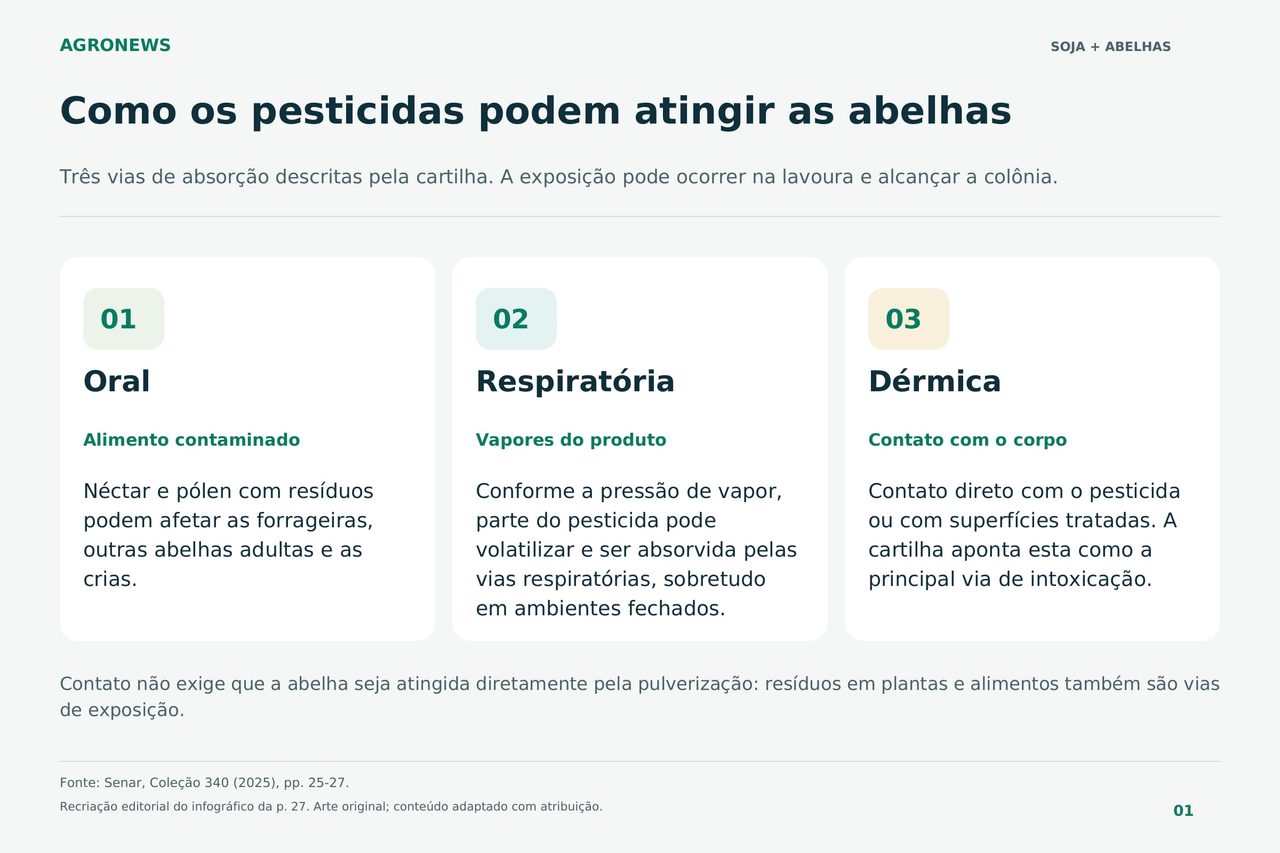 Soja também dá mel apicultores colhem 36 toneladas com flores da lavoura